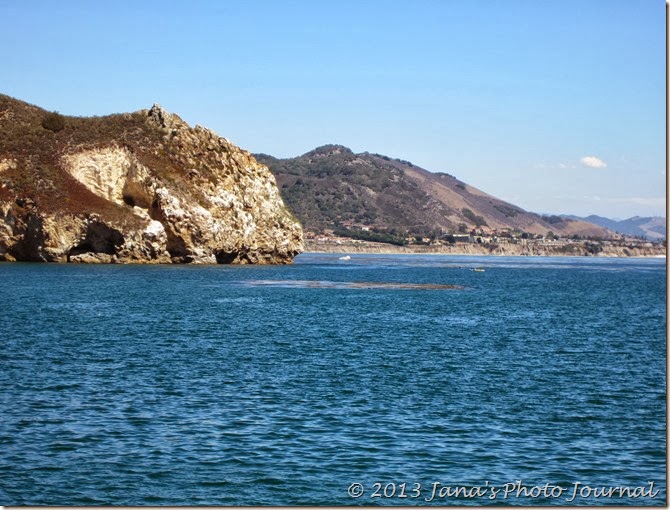 IMG_3347 IMG_3347