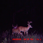 MDGC0002.JPG