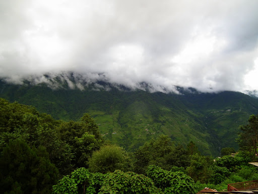 Dscf2545