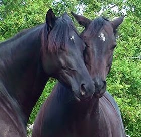 [20140911105813-%25287%2529%255B4%255D.jpg]