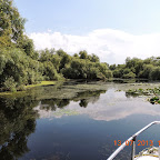 DSCN3056.JPG