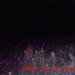 MDGC0254.JPG