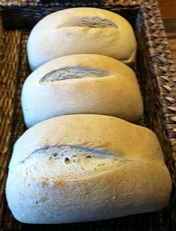 [IMG_0870%255B1%255D%255B2%255D.png]