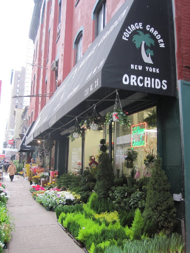 For my dinner party, I bought my orchids at Foliage Garden on 28th Street.