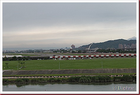 IMG_2353 IMG_2353