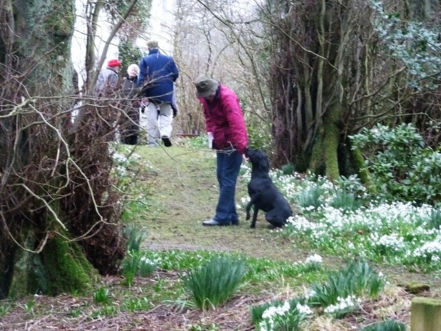 [drm%2520c%2520snowdrops%2520Ailsa%2520and%2520dog%255B3%255D.jpg]