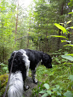 DSCN0400.JPG