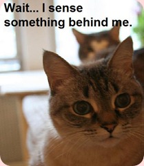 behind me behind me