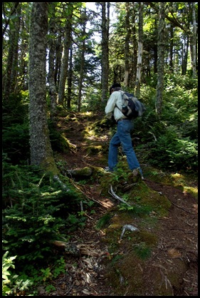 Liberty Point hike Campobello 226