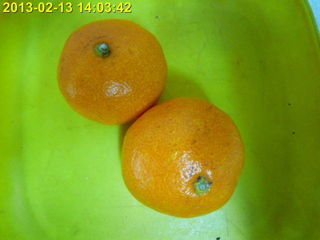 P1010086