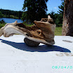 Batnuni Fishing trip 065.JPG