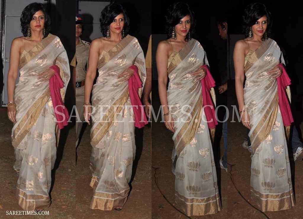 [Mandira_Bedi_Designer_Saree%255B3%255D.jpg]