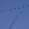IMG_9596_edited-1.jpg