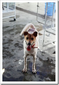 IMG_0296 IMG_0296