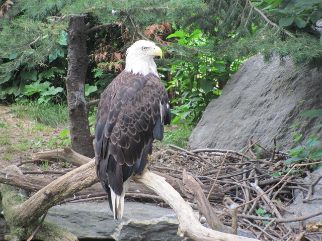 [IMG_8327%255B2%255D.jpg]