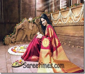 Trisha_Maroon_Designer_Saree