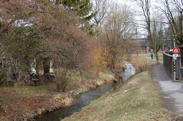 DSC_4035.JPG