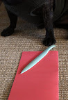Already ahead of you!  I'm using this bone folder to make a really nice crease!