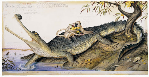 The book includes several fold-outs to accommodate Ford's large-scale animals.