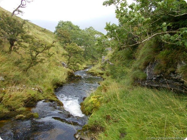 cowside beck