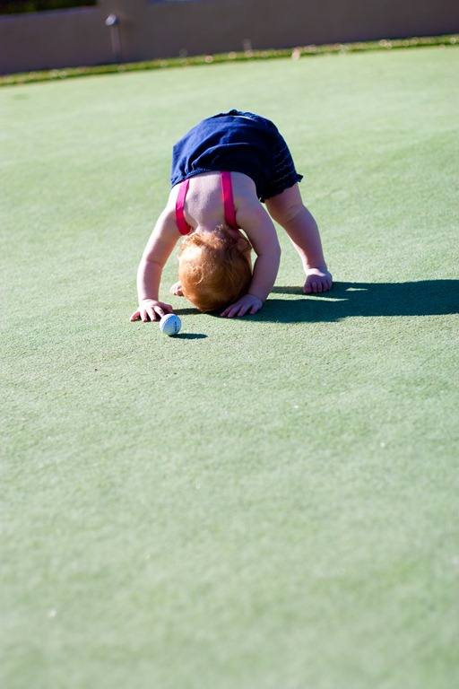 [20120420-IMG_23073.jpg]