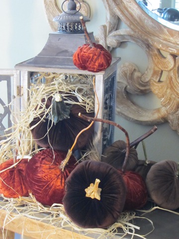 [silvercrest%2520pumpkins%2520vel%2520063%255B3%255D.jpg]