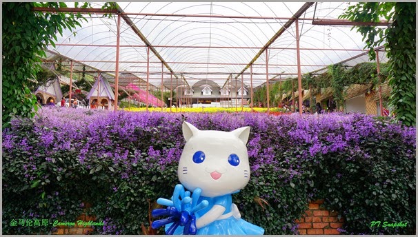 吉蒂猫 吉蒂猫