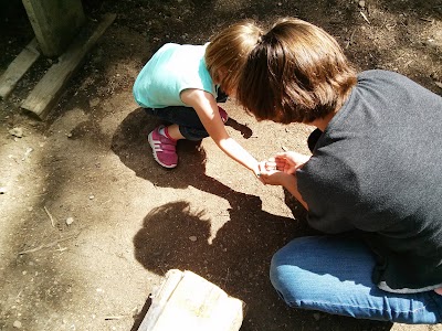 They found a frog before we even got the first box out of the car IMG_20130615_145503.jpg