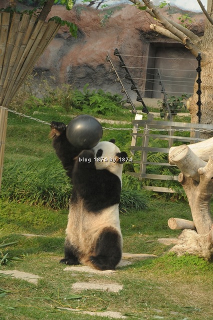 [MO1_6467%255B4%255D.jpg]