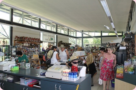 IMG_0214_resize