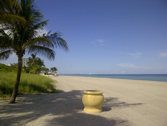 [IMG-20110923-006003.jpg]
