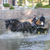 DSCN4863.JPG