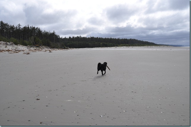 DSC_0220 DSC_0220
