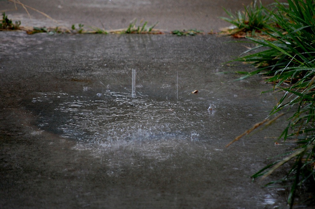 [rain86.jpg]