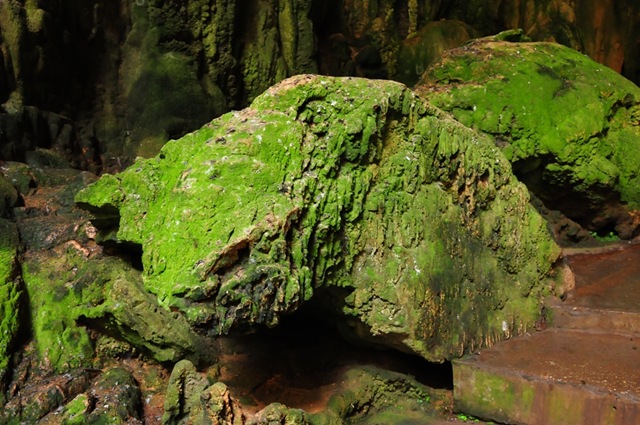 [DSC_5530%255B6%255D.jpg]