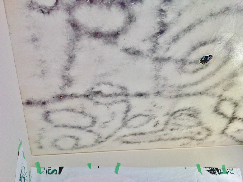 [IMG00632-20120512-10164.jpg]