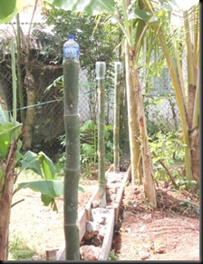DSCN3226 DSCN3226