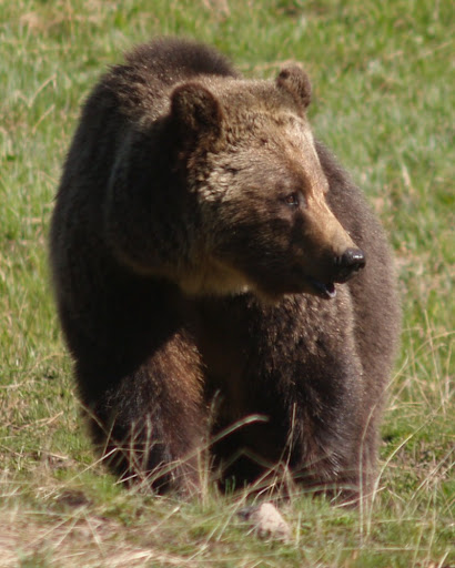 (photo credit: Sueanne Bishop)