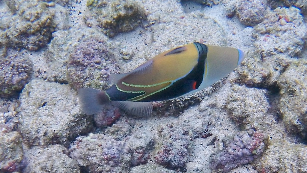 [20121211-100_0281-24.jpg]