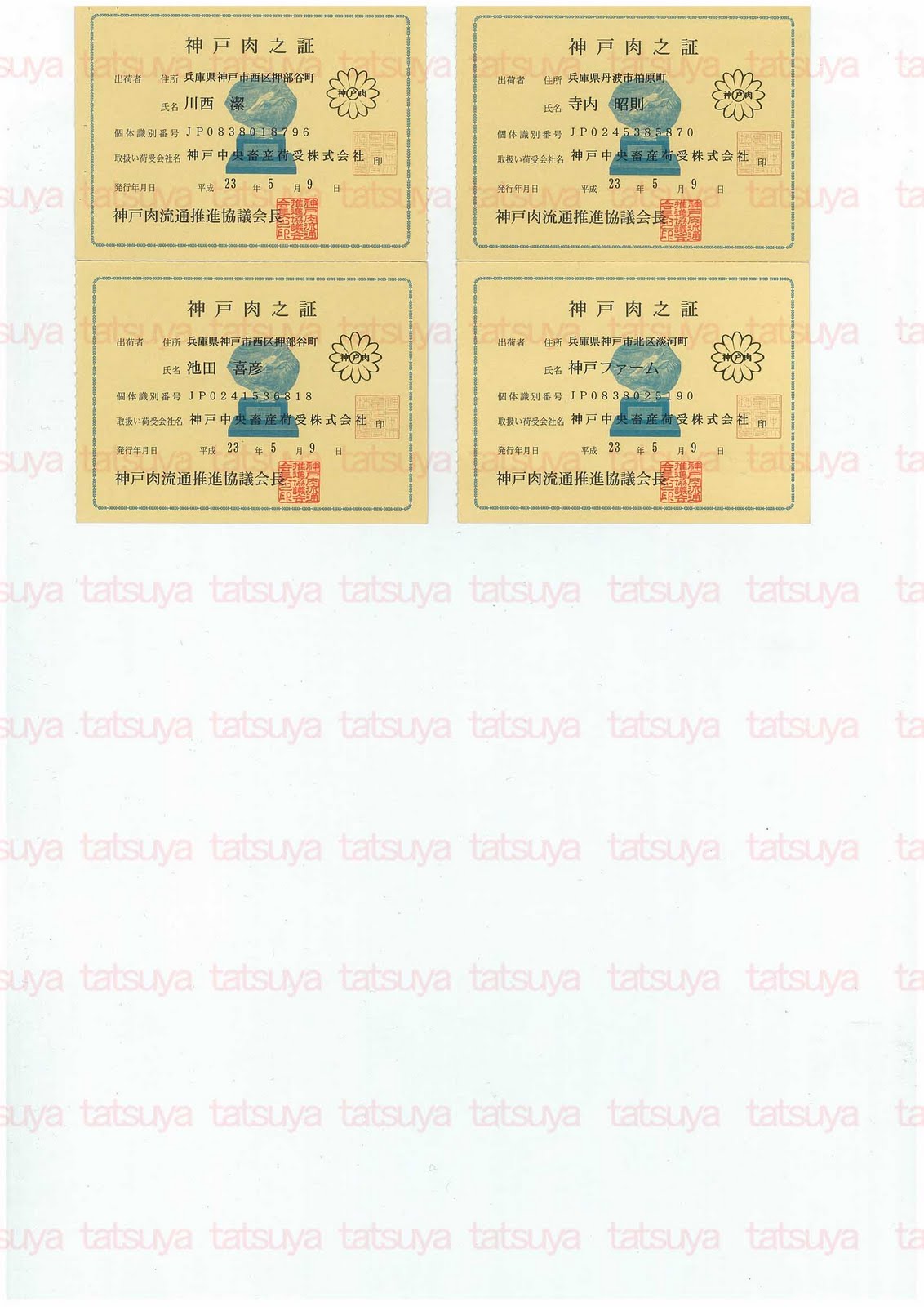 [LOT-11060301-%25232.jpg]
