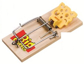[Mouse%2520Trap%25202%255B3%255D.jpg]