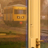 DSC00382.jpg