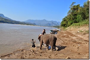 Laos Luang Prabang Elephant camp 140201_0138