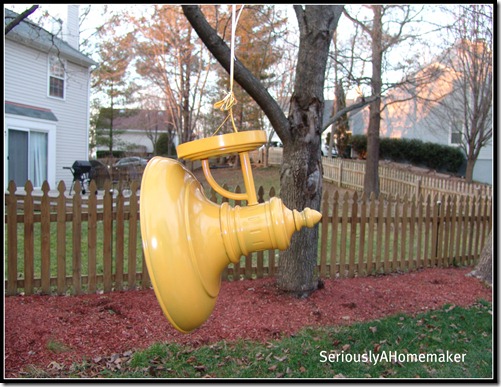 yellow lamp hanging from tree