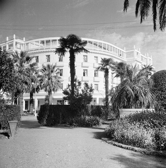 clip_image050 clip_image050