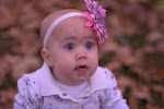 IMGP3624.jpg