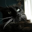 DSCN9975.JPG