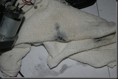 IMG_5087 IMG_5087