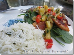 Pineapple Salsa Chicken Salad - The Backyard Farmwife