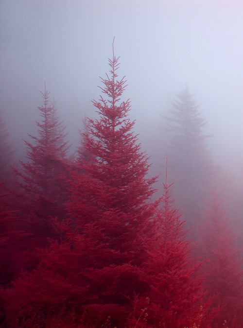 [tumblr_lno7lk19QH1qjde5h%255B12%255D.jpg]